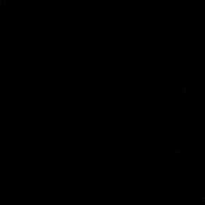 Meet your Posher, Abigail